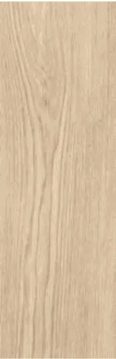 English Wood Snowdonia