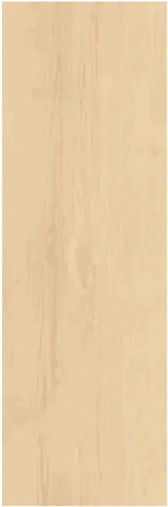 Project Wood Mesola
