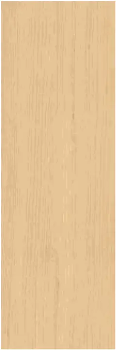 Project Wood Migliarino