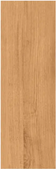 Project Wood Paneveggio